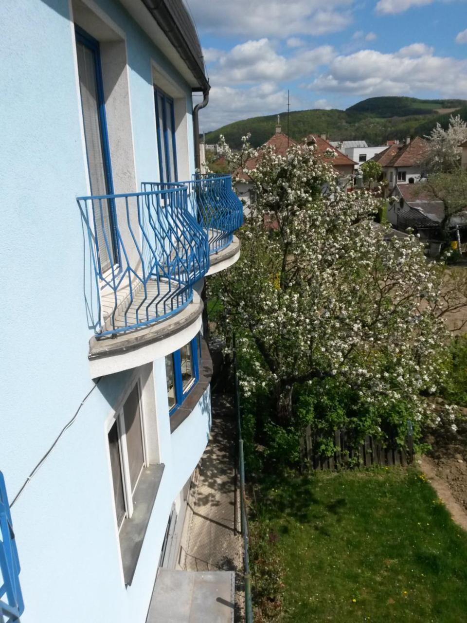 Pension Magnolia Trencin Exterior photo